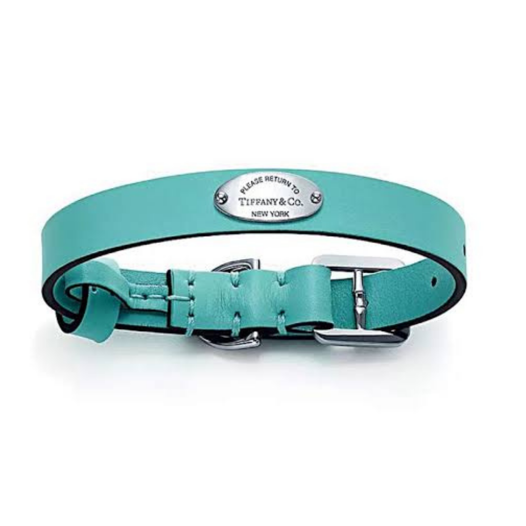 Turquoise Collar and Leash Set
