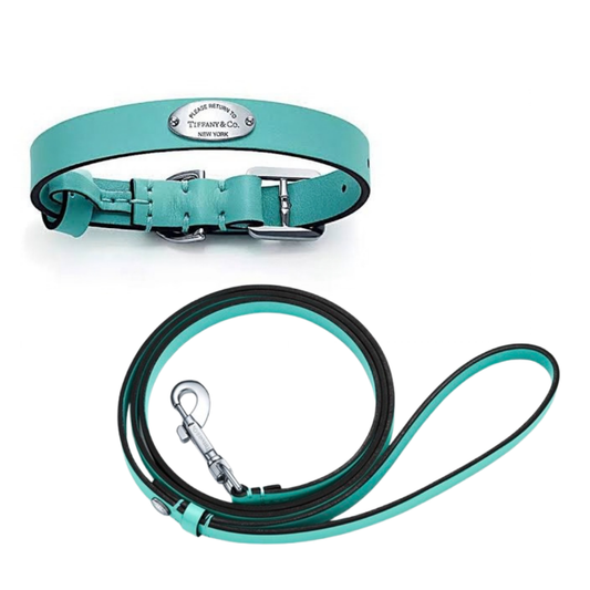 Turquoise Collar and Leash Set
