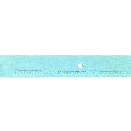 Turquoise Collar and Leash Set