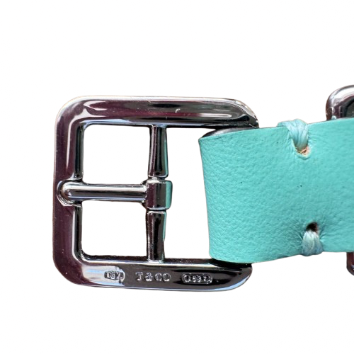 Turquoise Collar and Leash Set