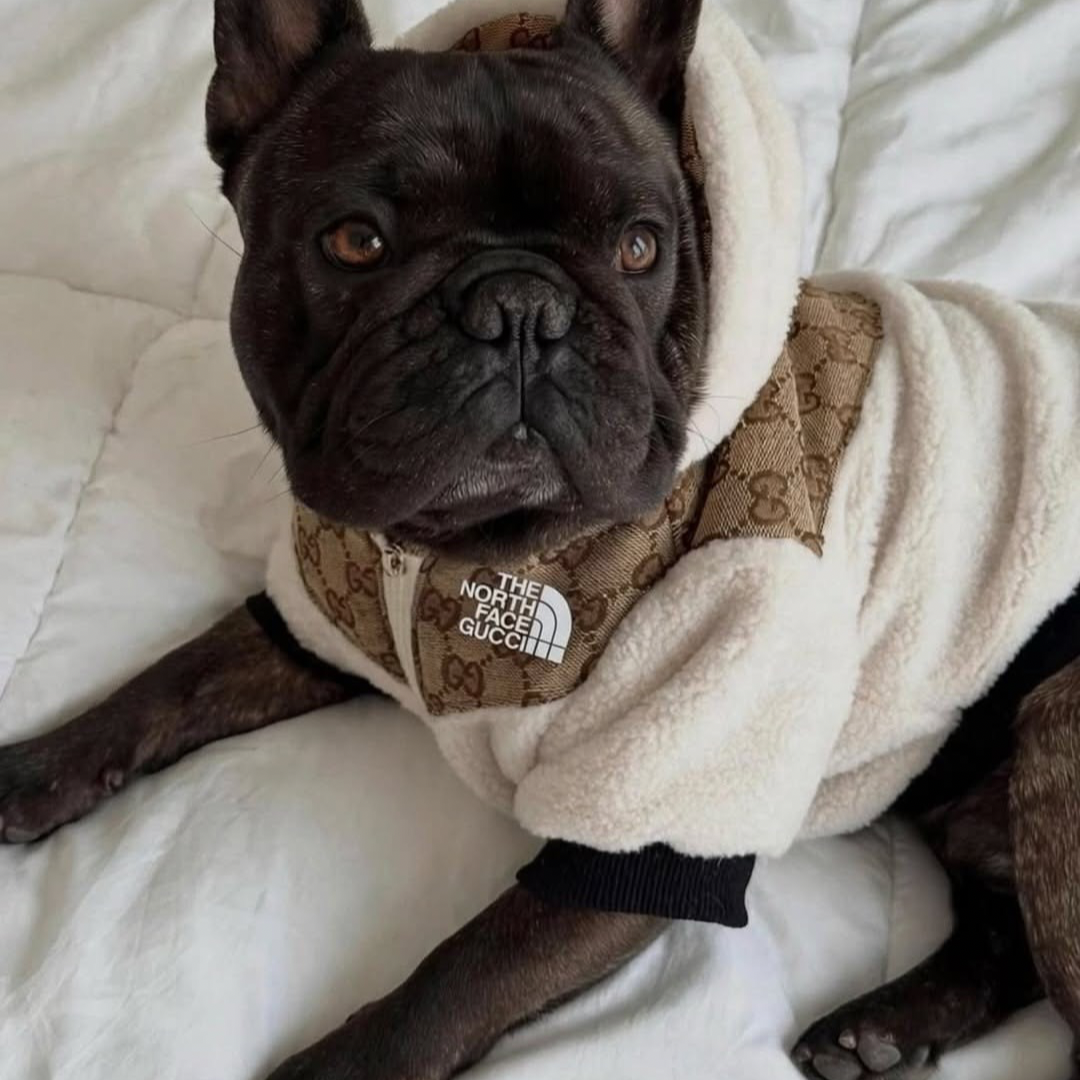 The Dog Face Teddy Jacket