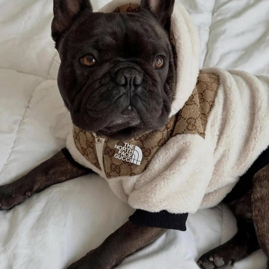 The Dog Face Teddy Jacket