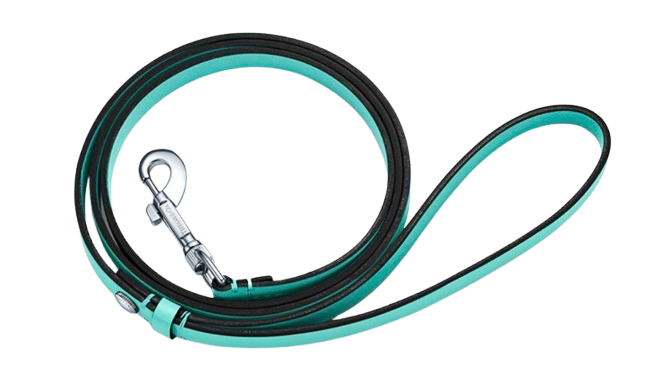 Turquoise Collar and Leash Set