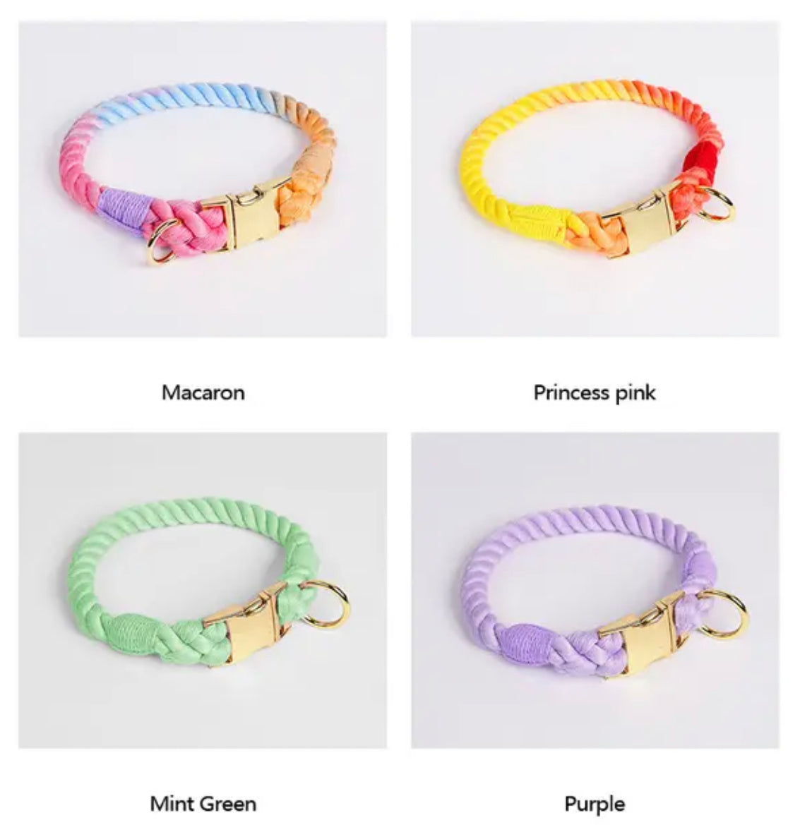 Colourful Rope Dog Collar