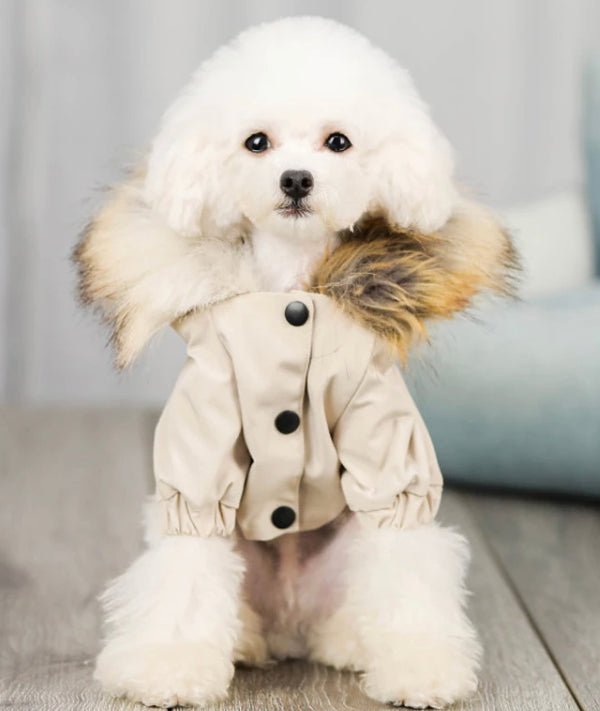 Adventure Parka Jacket - Boujee Pup Co