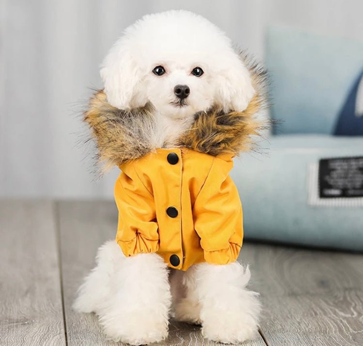 Adventure Parka Jacket - Boujee Pup Co