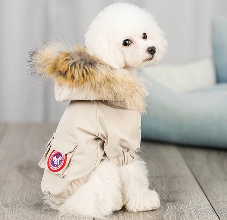 Adventure Parka Jacket - Boujee Pup Co