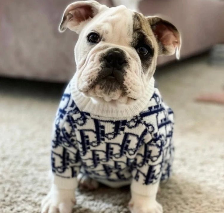 Dpaw Print Sweater - Boujee Pup Co