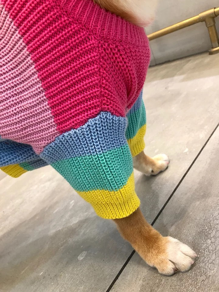 rainbow dog jumper sweater