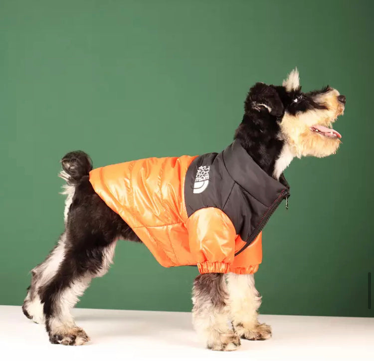 The Dog Face designer dog puffer jacket