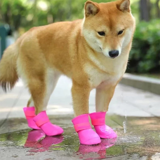 Dog Rain Boots