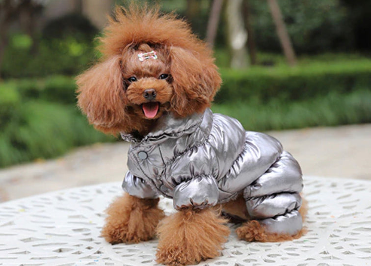 Metallic Puffer Jacket