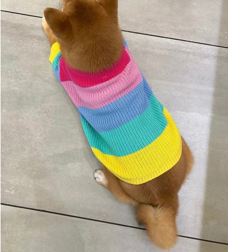 rainbow dog jumper sweater