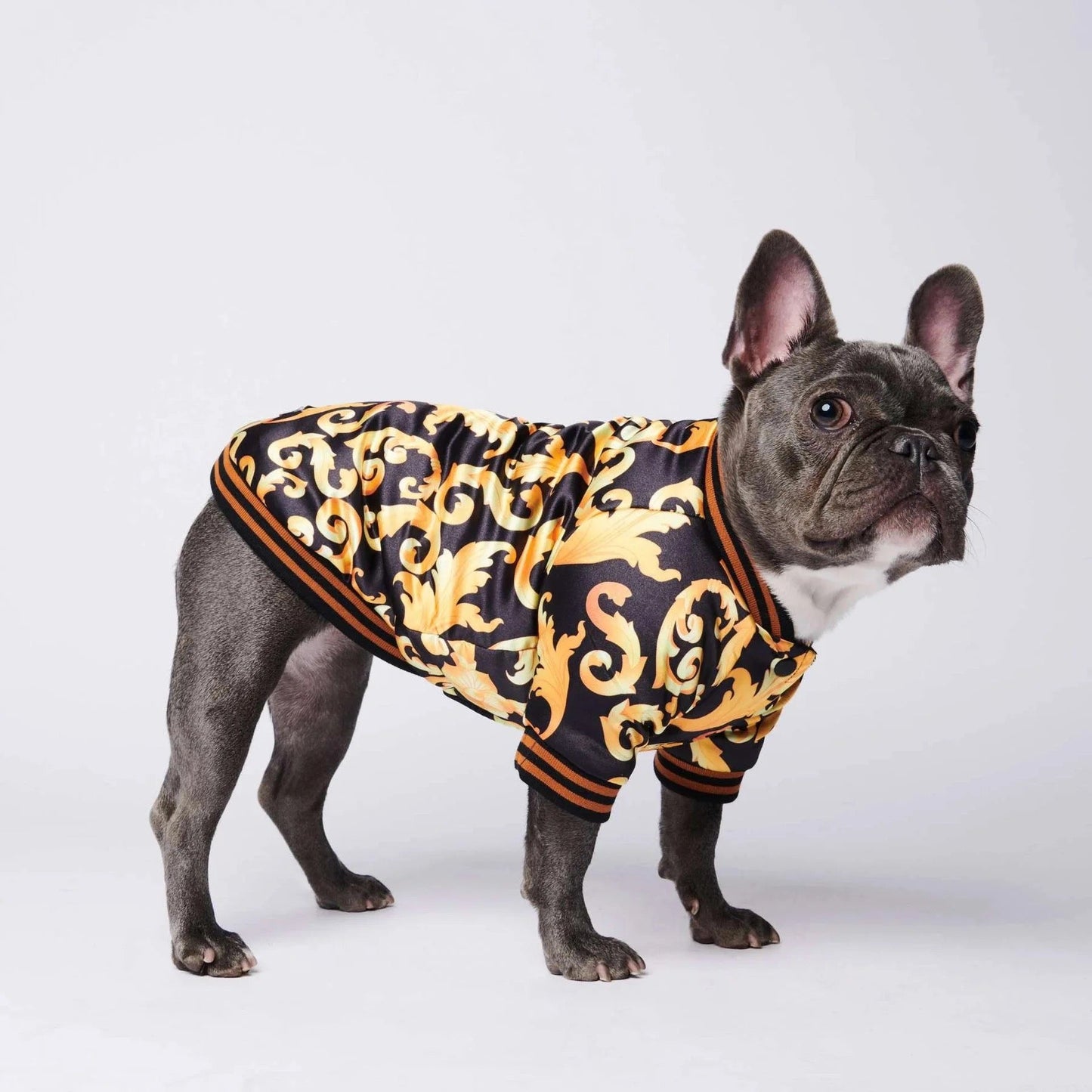 Printed Satin Jacket - Boujee Pup Co